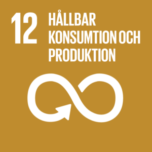 Hållbarhetsarbete mot hållbar konsumtion och produktion